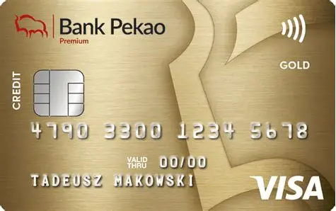 Como Solicitar o Cartão Bank Pekao Visa Classic na Polônia